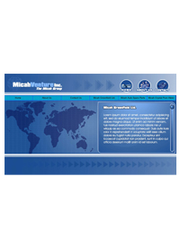 The Micah Group