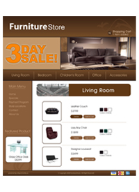 The Furniture Store
